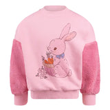 Sweatshirt | Bunny Sherpa Sleeve